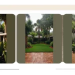 Transform Your Outdoor Space: 15 Florida Landscaping Ideas to Elevate Your Home