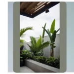 15 Tropical Landscaping Ideas to Transform Your Home into a Paradise