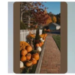 Embrace the Change: 15 Fall Decor Ideas for a Cozy Home