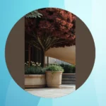 A Botanical Bash: Classy Garden Ideas for Weddings and Parties