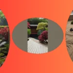 Craft Your Perfect Zen Paradise: 15 Ideas to Consider