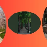 Journey through Canvas and Camera: 15 Landscape Inspirations