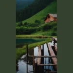 Planting Joy: 15 Inspire Ideas for a Fall Garden Party