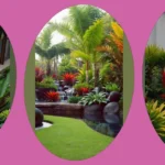 Transform Your Home with These 15 Tropical Landscaping Ideas