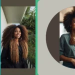 From Waves to Twists: 15 Creative Afro Hairstyles to Brighten Your Look