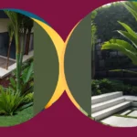 Spice Up Your Outdoor Space with 15 Tropical Landscaping Ideas