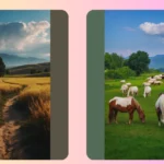 Captivating Landscape Ideas to Transform Your Space