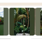 15 Tropical Landscaping Ideas to Brighten Up Your Home