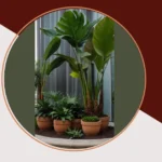 Dive into Paradise: 15 Tropical Landscaping Ideas for Your Home