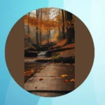 Dive into Fall: 15 Creative Autumn Landscape Inspirations