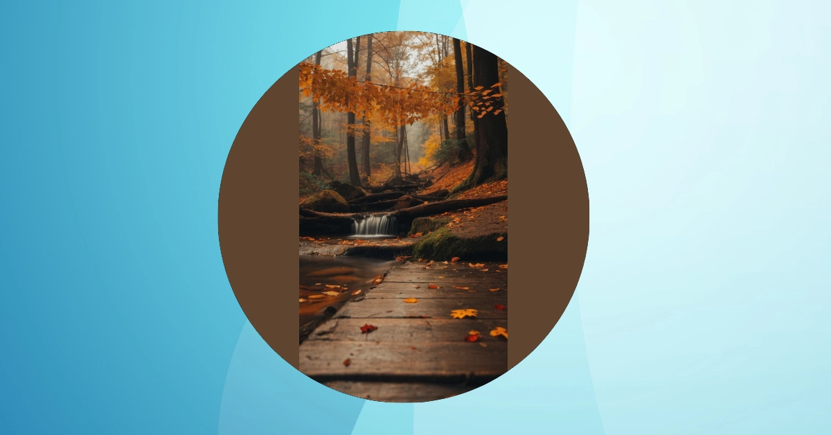 Dive into Fall: 15 Creative Autumn Landscape Inspirations