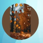 Transform Your Screens: 15 Fall Aesthetic Wallpapers to Download Now**  
**