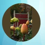 15 Autumn Garden Ideas to Pitch Perfect Wedding Vibes