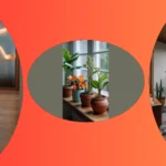 15 Plant Solutions for a Cozy Indoor Oasis