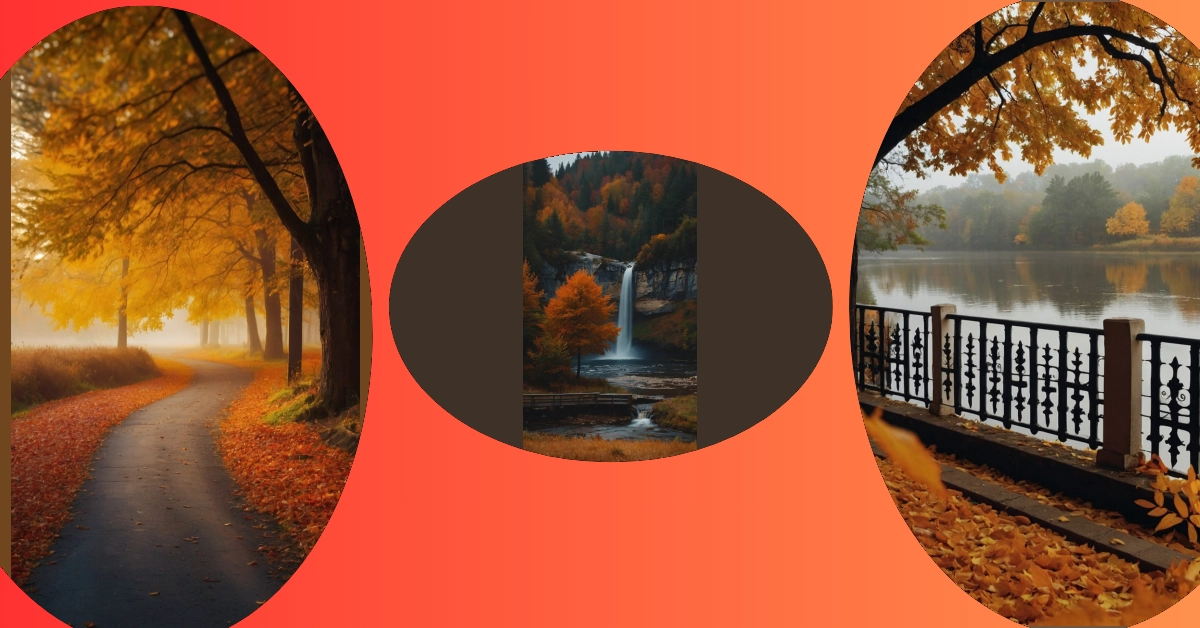 Autumn Aesthetic: 15 Landscape Ideas That Inspire Creativity