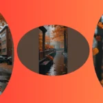 Autumn Aesthetics: 15 Perfect Wallpaper Ideas for Your Screens