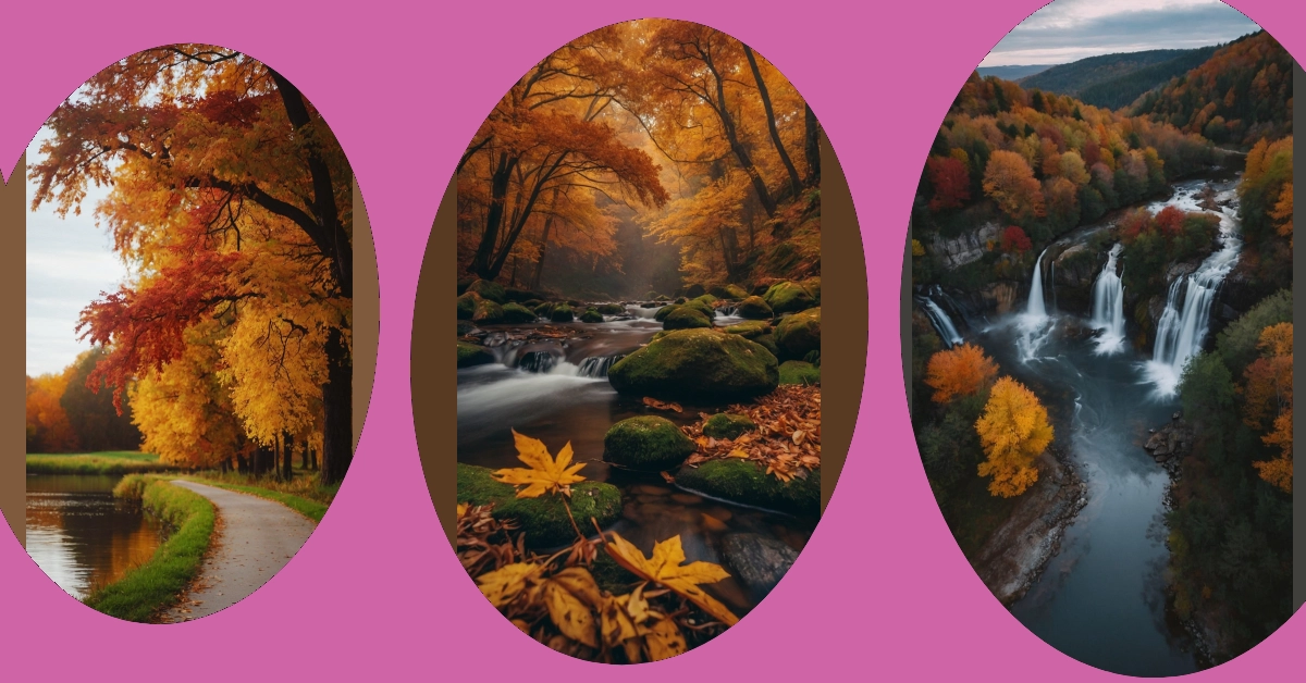 Capturing Autumn: 15 Inspiring Landscape Ideas for Your Creative Projects