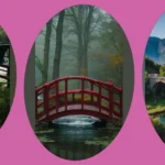 Discovering the Most Aesthetic Bridges: A Photographer’s Dream