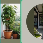 From Drab to Fab: 15 Small Balcony Garden Ideas for Apartment Living