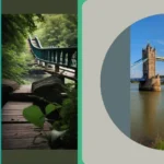 Enchanting Bridges: Small Wonders in Nature’s Embrace