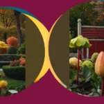 Discover the Charm of Autumn with These 15 Garden Ideas