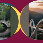 The Majestic Bridges to Capture: Nighttime Dreams and Daylight Splendor