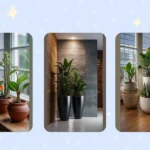 Green Up Your Home: 15 Indoor Plants You Need Now!