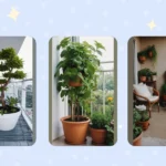 Balcony Bliss: 15 DIY Garden Ideas to Spruce Up Your Apartment