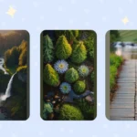 Elegant Exteriors: 15 Timeless Landscaping Ideas Revealed