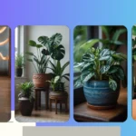 Indoor Jungle: 15 Unique House Plants to Transform Your Living Room