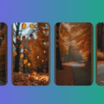 Fall into Style: 15 Adorable Wallpapers for Your Devices