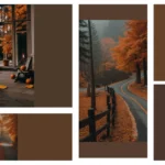 Digital Leaves Falling: 15 Fall Aesthetic Wallpaper Inspirations