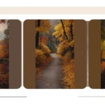 Fall into Creativity: 15 Aesthetic Landscape Suggestions for Photographers and Artists