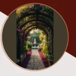 Magic in Bloom: 15 Ideas for an Aesthetic Garden Transformation