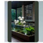 Splashing Into Serenity: 13 Indoor Pond Ideas for Living Rooms