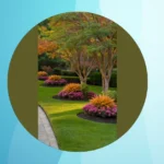 Fabulous Fall Decor: 15 Must-Try Gardening Ideas for All Zones