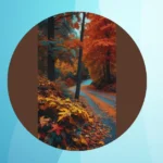 Fall in Love with 13 Cute Autumn Wallpaper Ideas for Your Devices