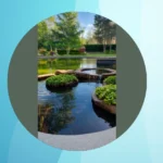 Dive Into Home Decor: 13 Indoor Pond Ideas for Aquatic Lovers