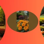 Kid-Friendly Fall Gardening: 15 Simple Ideas for the Whole Family