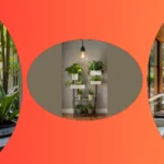 Your Indoor Garden Goals: 15 Creative Ideas for Modern Apartments