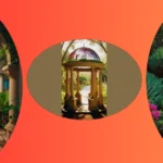 Transforming Abandoned Spaces: Secret Garden Inspiration