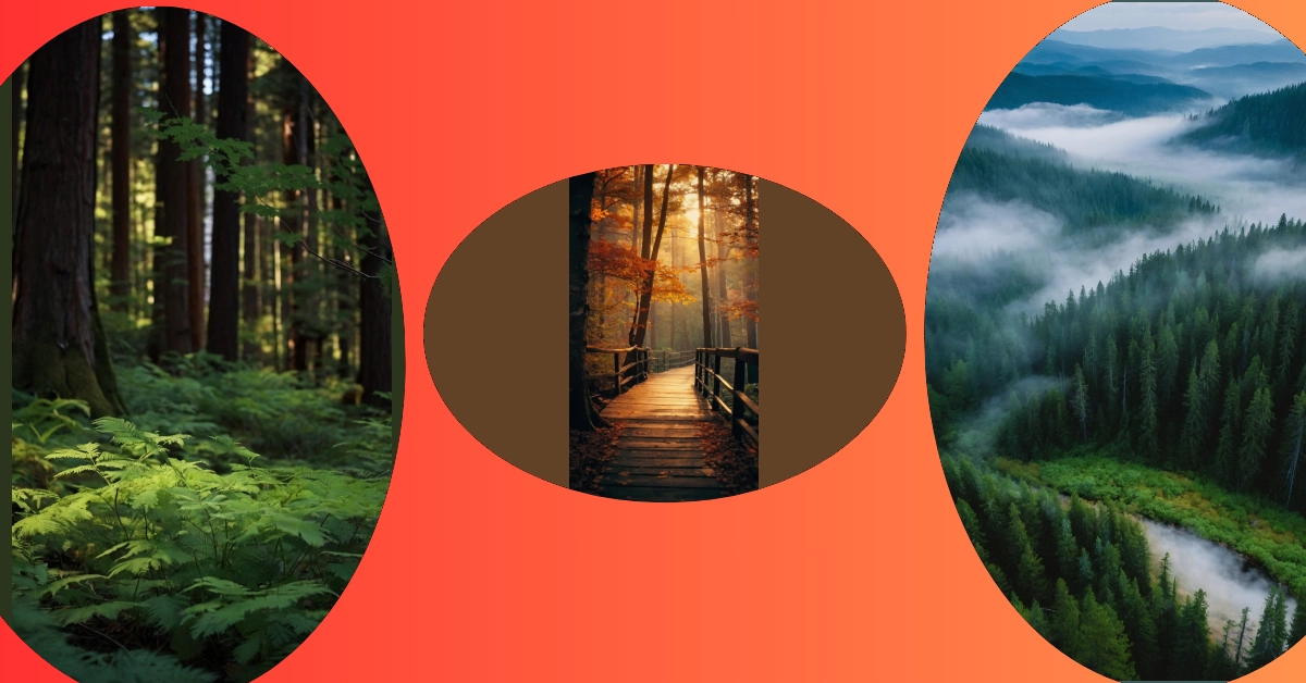 Rustic Revival: 15 Nature Woods Ideas to Enrich Your Space