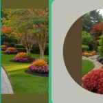 Collected Fall Wonders: 15 Unique Gardening Ideas to Spruce Up Your Space