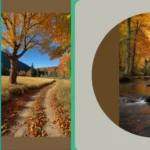 Frame the Fall: 13 Fun Nature Photography Ideas You’ll Love