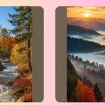 Unleash Your Inner Photographer with 13 Autumn Wonders