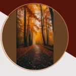 Nature’s Palette: 13 Autumn Photography Tips for a Colorful Season