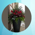 Sprucing Up with Winter Planters: 18 Ideas for Your Front Porch