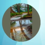 Nature Meets Vintage: Discover 10 Aesthetic Spots