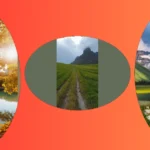 Coffee, Nature & Vintage: Top 10 Aesthetic Places to Visit