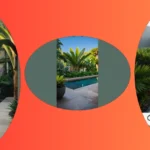 Your Essential Guide to 11 Modern Tropical Landscape Ideas**  
**